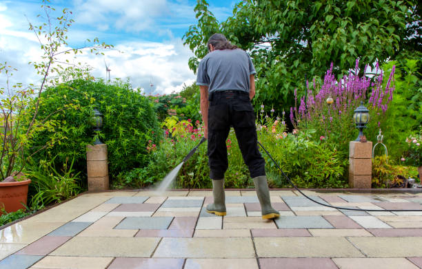 Best Fence Cleaning and Maintenance in Ashwaubenon, WI