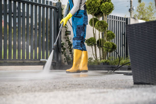 Best Soft Washing for Delicate Surfaces in Ashwaubenon, WI